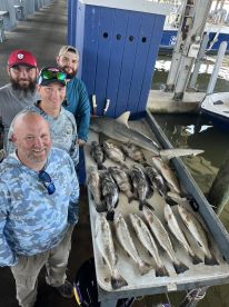 Galveston Report Photo 2