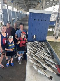 Galveston Report Photo 1