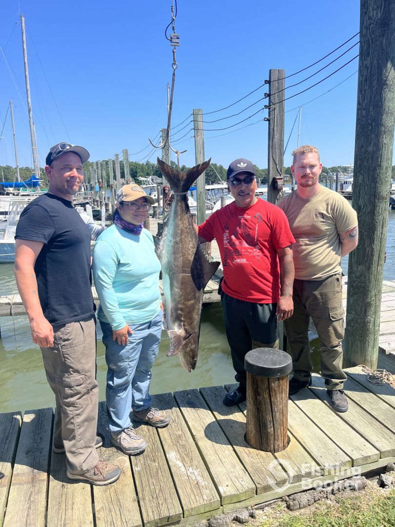 Gloucester Point Report Photo 0