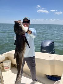 Pm trip lots of big fish!