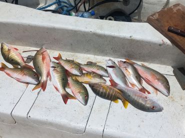 San Pedro Report Photo 2