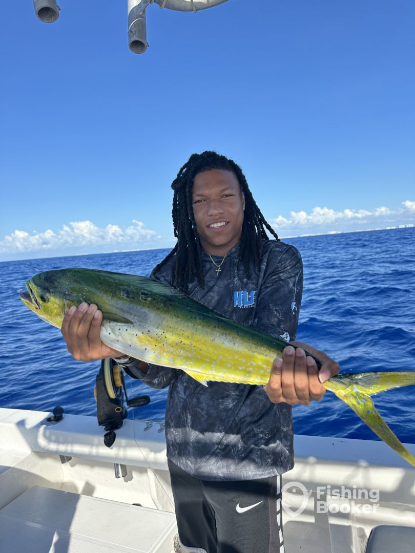 Cancún Report Photo 0