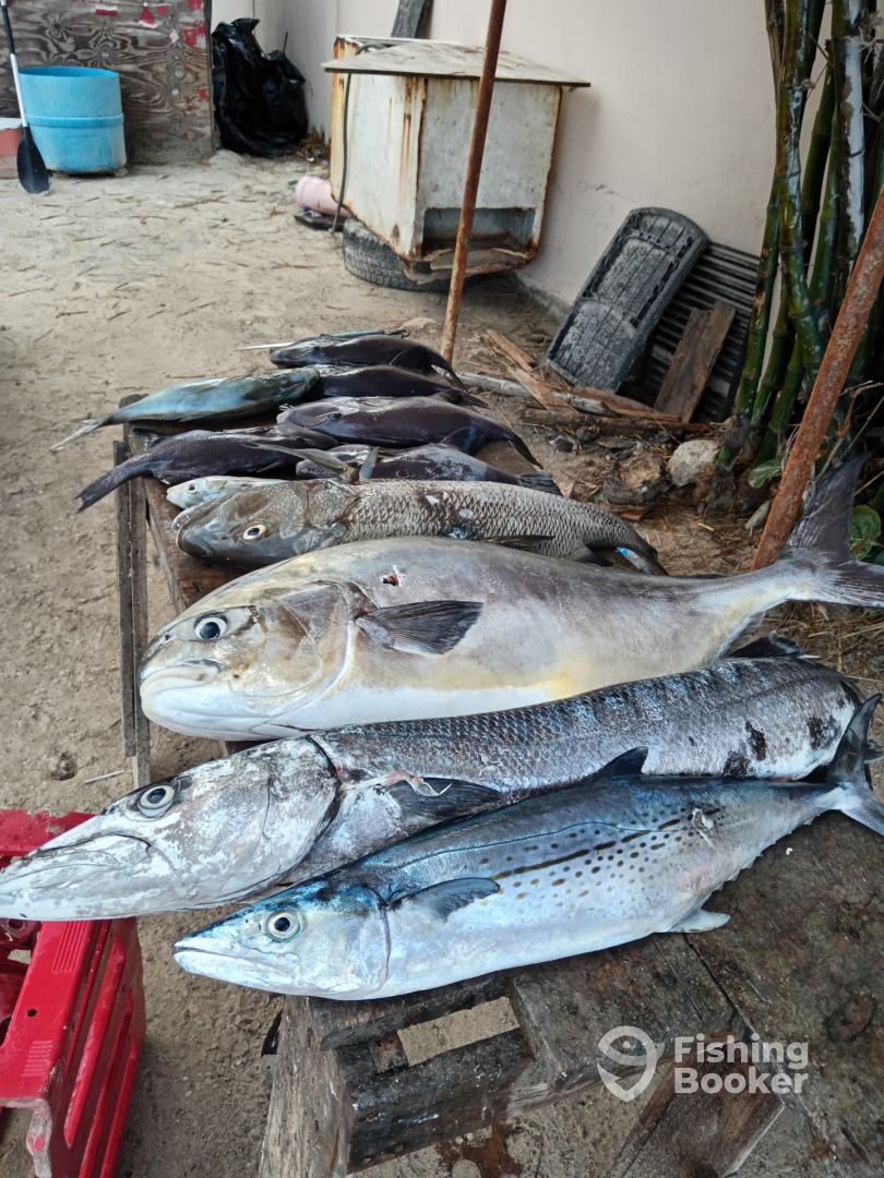 Playa Del Carmen Report Photo 0