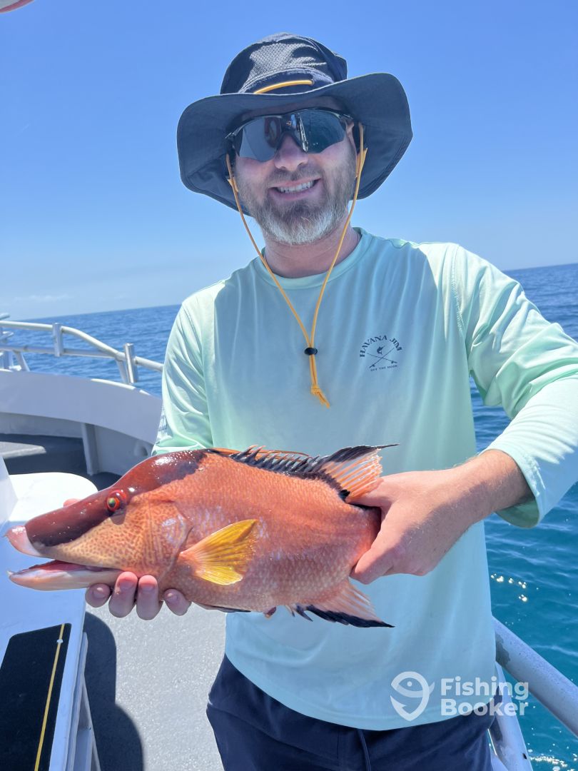 St. Pete Beach Report Photo 0