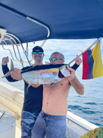 Black fin tuna school