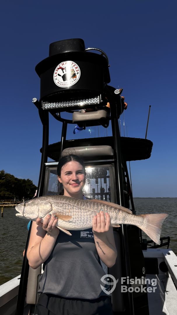 Niceville Report Photo 0