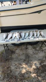 Lexington Report Photo 4