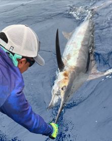 Puerto Aventuras Report Photo 2