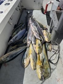 Fort Lauderdale Report Photo 1