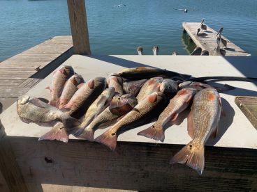 6/17/24 - CC Bay Wade