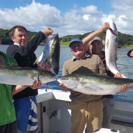 Paihia Report Photo 1