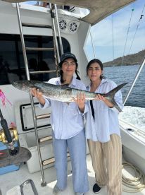 Kingfish today onboard hopscotch