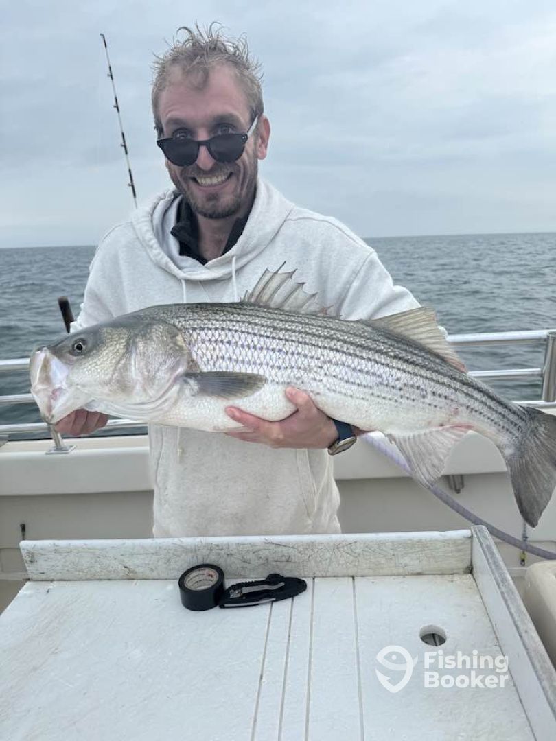 Montauk Report Photo 0
