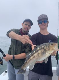 Coastal Trips Great Action!