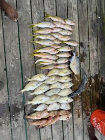 Awesome day at the reef