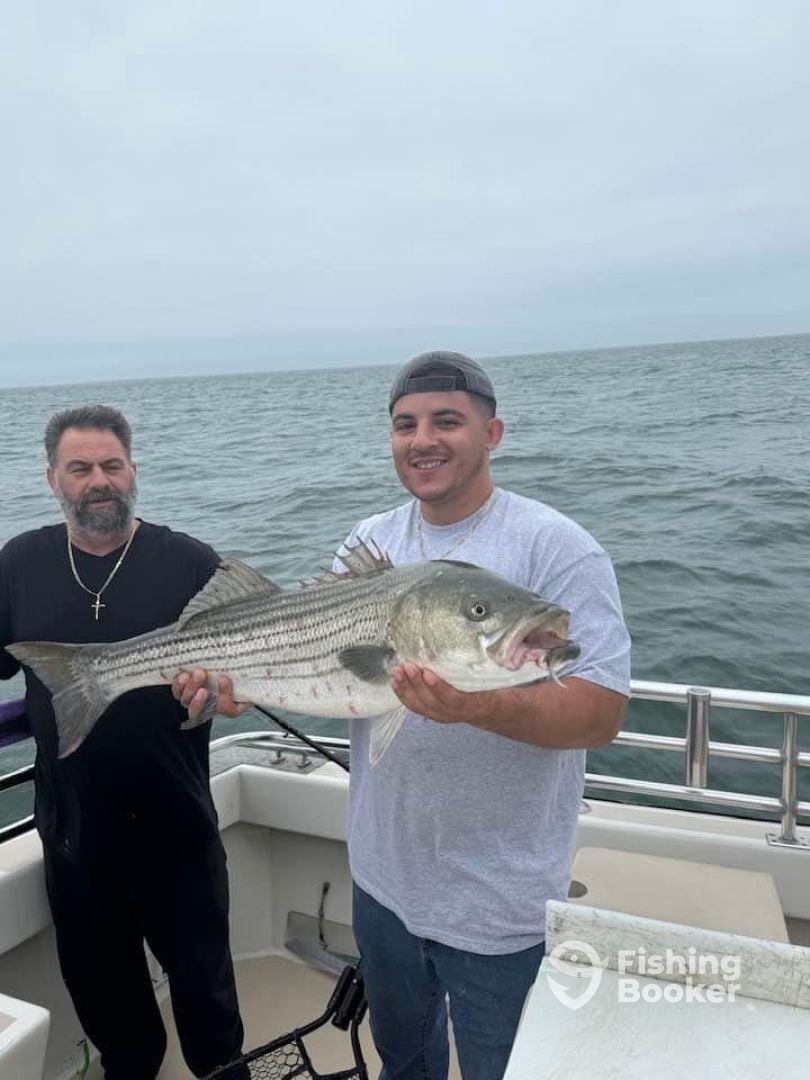 Montauk Report Photo 0