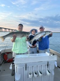 Hampton Bays Report Photo 1