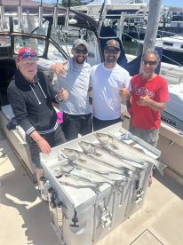 Hampton Bays Report Photo 2