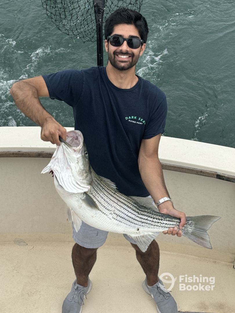 Montauk Report Photo 0