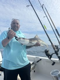 St. Augustine Report Photo 1