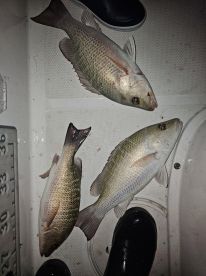 Miami Beach Report Photo 2