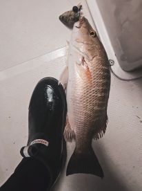 Miami Beach Report Photo 1