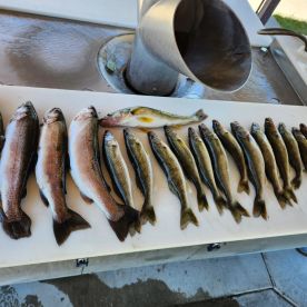 Duchesne Report Photo 1