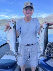 Kokanee or rainbows?