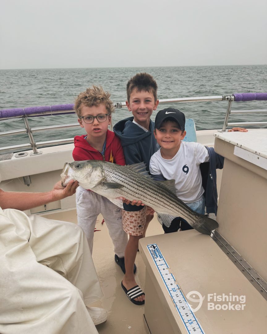 Montauk Report Photo 0