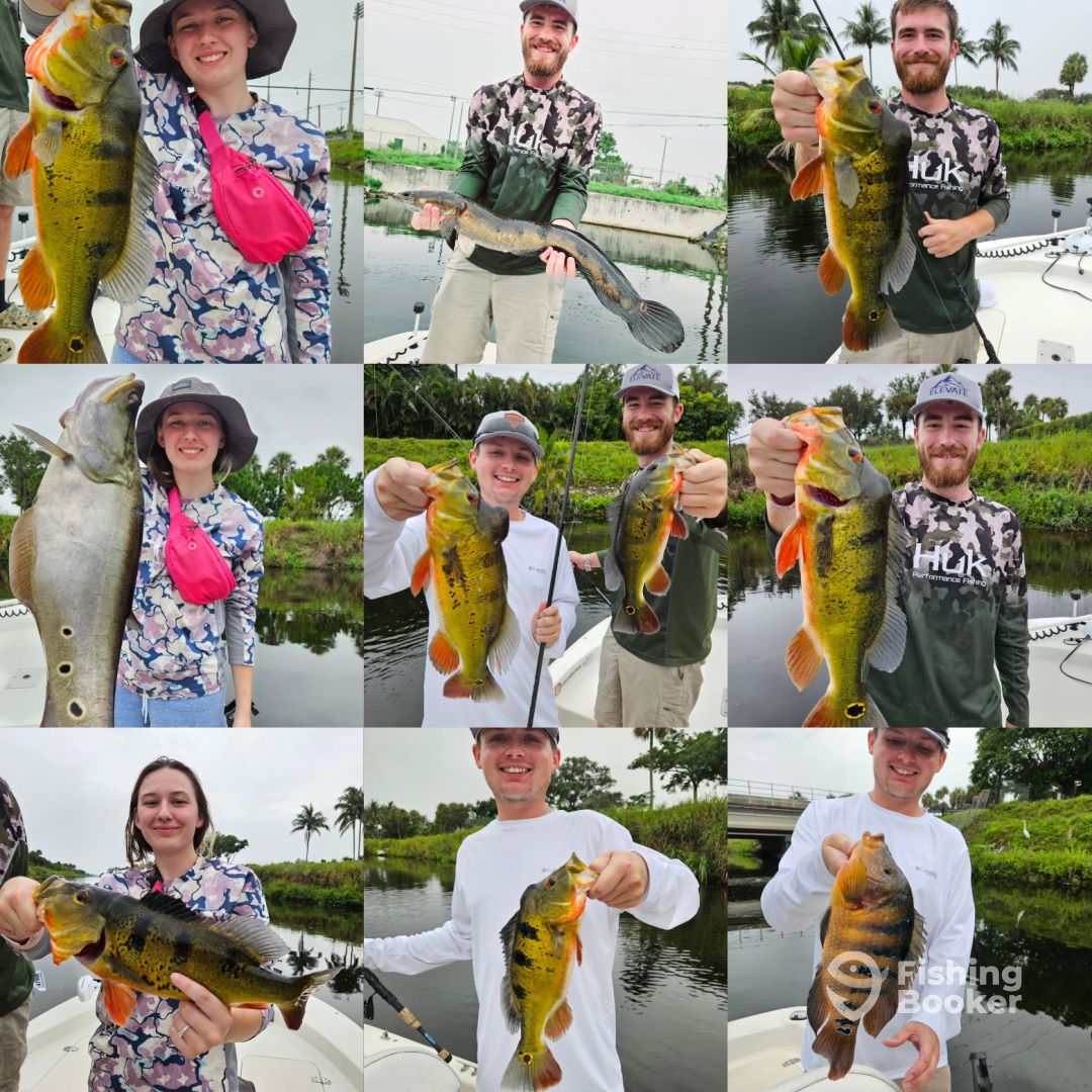 Delray Beach Report Photo 0
