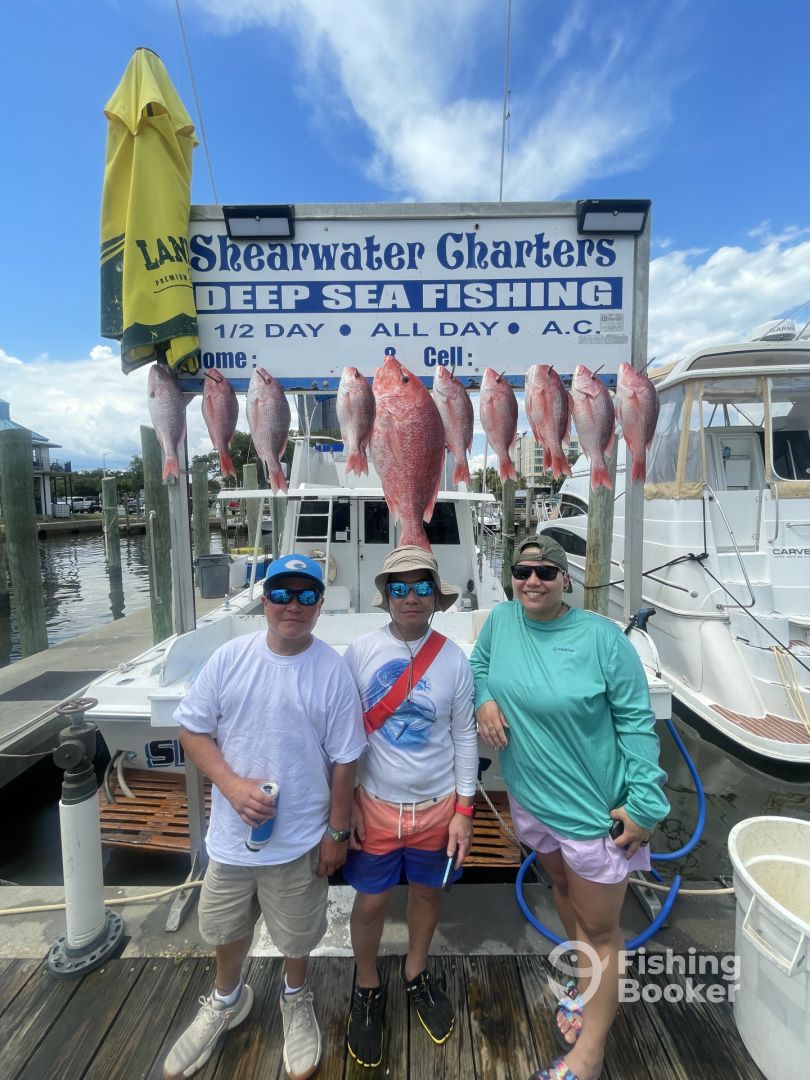 Biloxi Report Photo 0