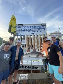 Biloxi Report Photo 2