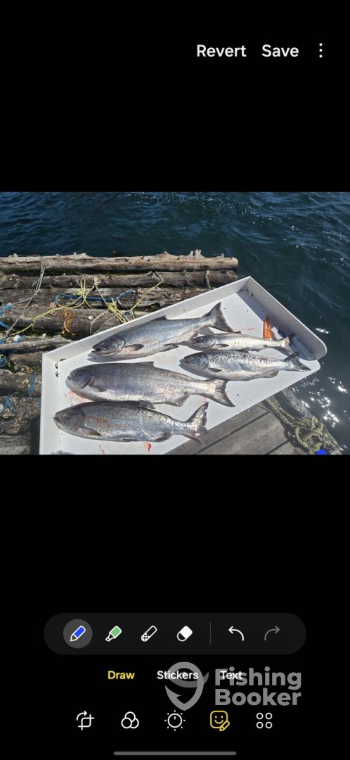 Sooke Report Photo 0
