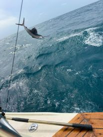 Hot, Fast and Exciting Action