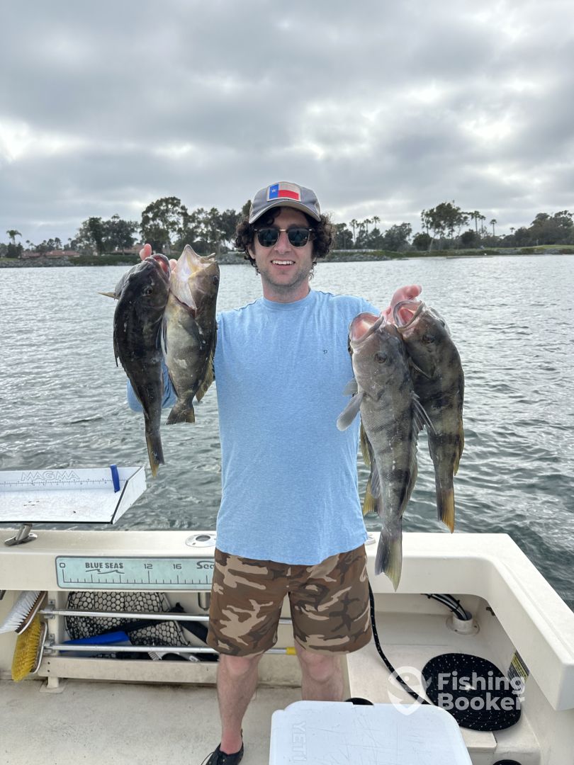 San Diego Report Photo 0