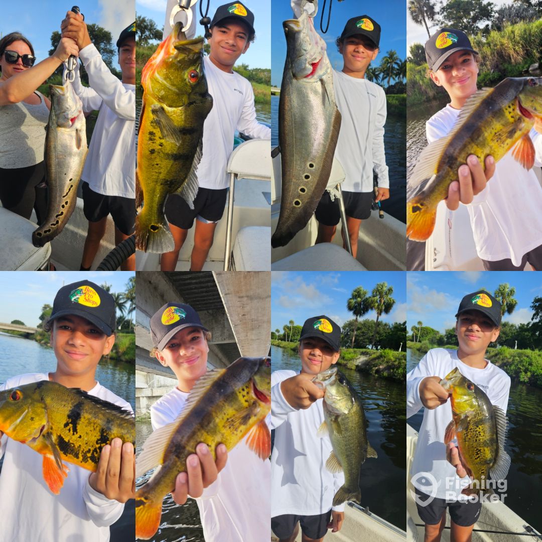 Delray Beach Report Photo 0