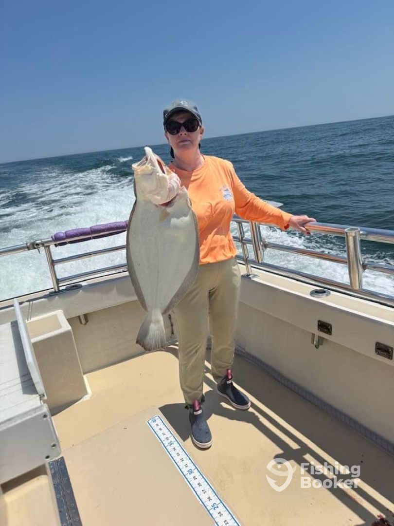 Montauk Report Photo 0