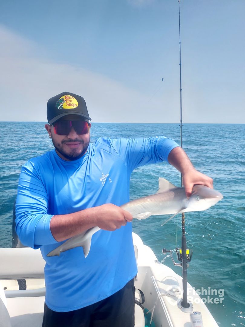Murrells Inlet Report Photo 0