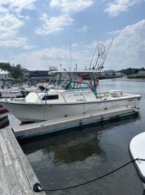 Essex Report Photo 2