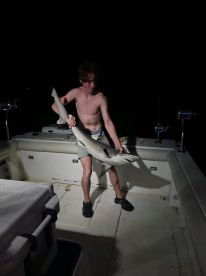 Hampton Report Photo 1
