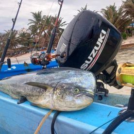 Mahahual Report Photo 2
