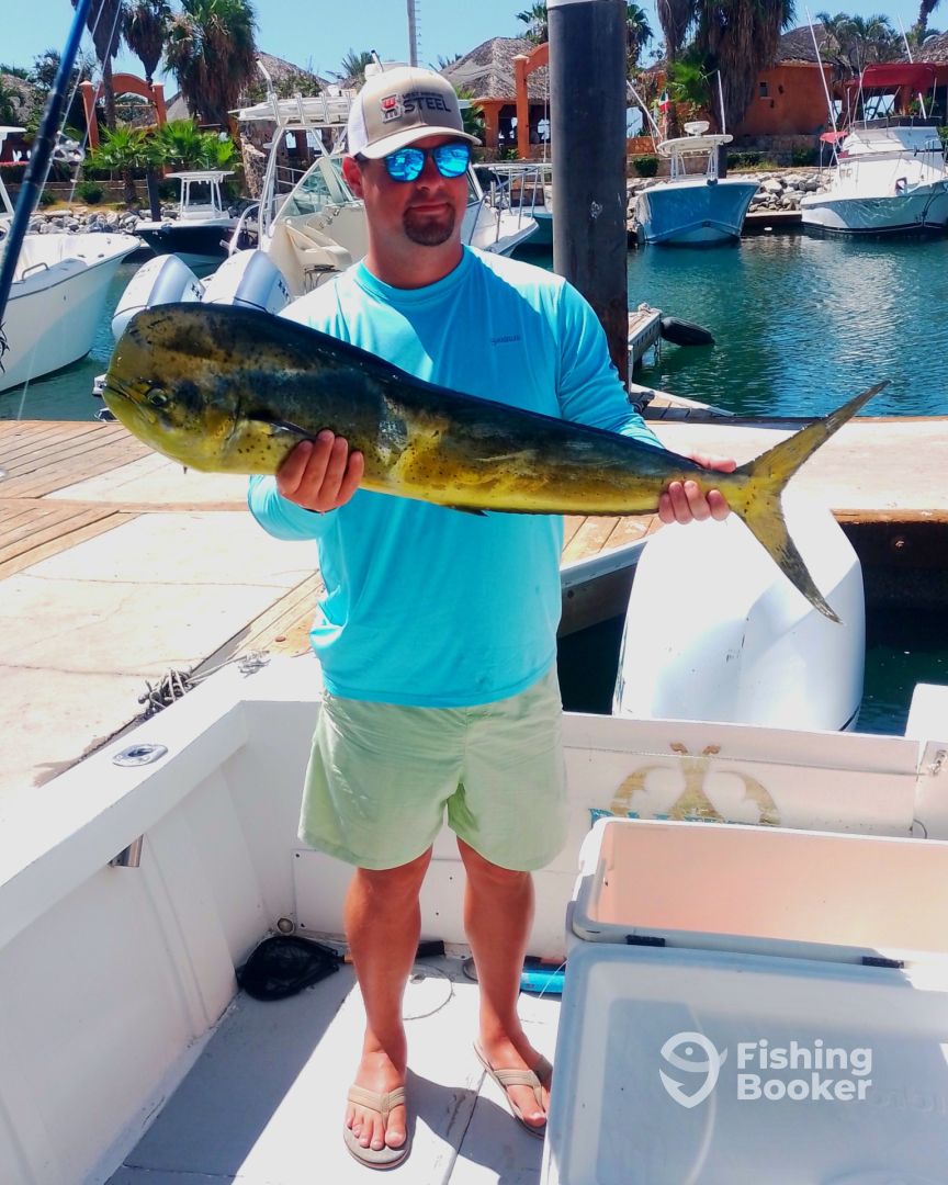 San Jose del Cabo Report Photo 0