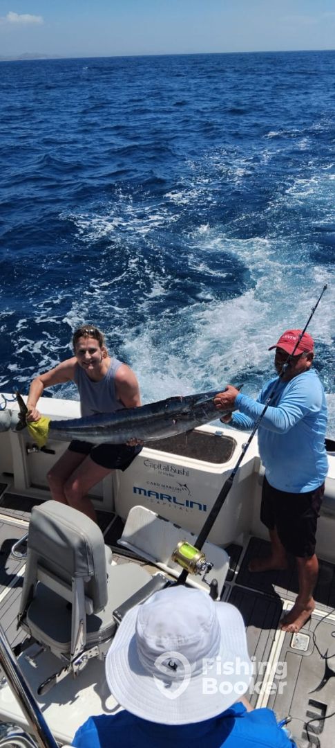 Cabo San Lucas Report Photo 0