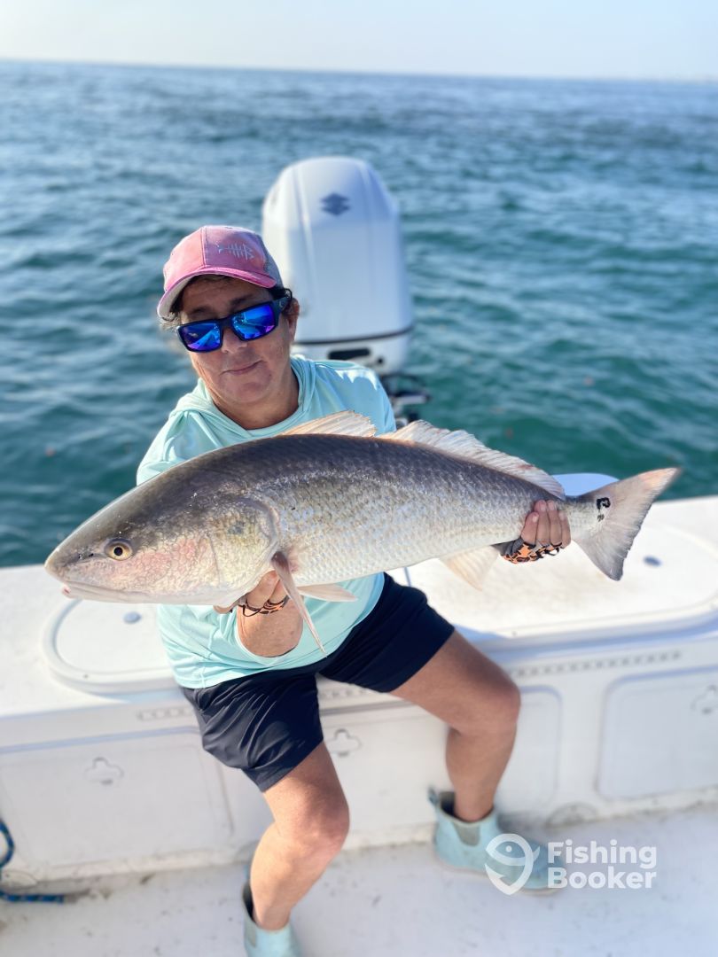 Port Orange Report Photo 0