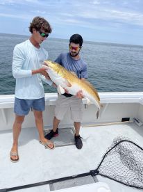 Virginia Beach Report Photo 1