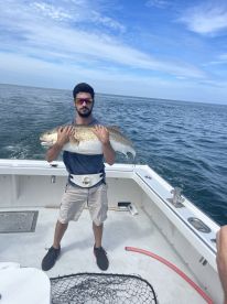 Virginia Beach Report Photo 2