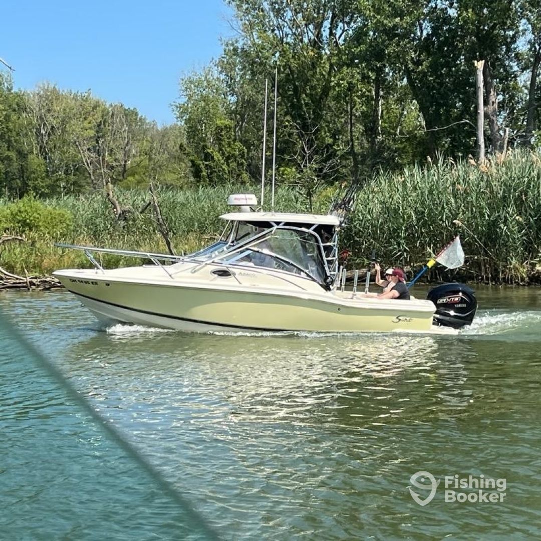 Lakeside Marblehead Report Photo 0
