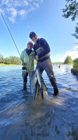 The sockeye salmon are in and waiting fo