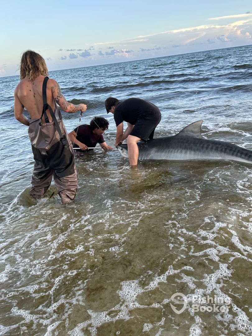 Miramar Beach Report Photo 0