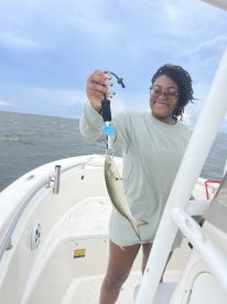 Kitty Hawk Report Photo 1
